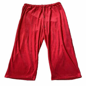 Mirror Image Red Velour Casual Pull On Pants Stretch Women Plus 3X Elastic Waist